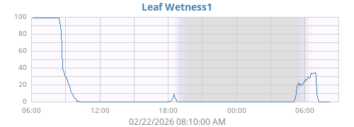 daywetleaf