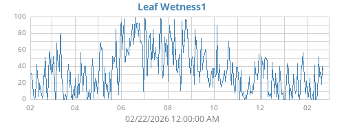 yearwetleaf